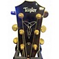 Used Taylor W 10 CE SPRUCE WALNUT Acoustic Guitar