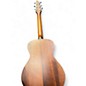 Used Breedlove Passport C200/SME Natural Acoustic Electric Guitar