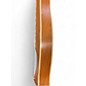 Used Miscellaneous Walnut & Rosewood Natural Dulcimer