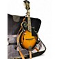 Used Fender FM63S SUNBURST Mandolin