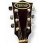 Used Trump Ts21 Red Acoustic Guitar