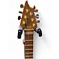 Used EVH WOLFGANG SPECIAL TOM OXBLOOOD Solid Body Electric Guitar