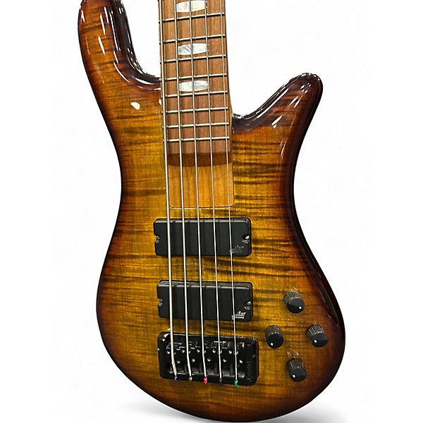 Used Spector  Eurobolt 5 bass wood grain Electric Bass Guitar