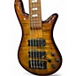 Used Spector  Eurobolt 5 bass wood grain Electric Bass Guitar