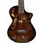 Used 2020s Breedlove Organic Wildwood Pro CE Suede Acoustic Electric Guitar