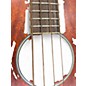 Used Ibanez PNB14E NATURAL Acoustic Bass Guitar
