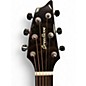 Used Breedlove wildwood pro concert su ce Mahogany Acoustic Guitar