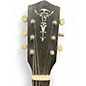 Used Alden STRATATONE Black Solid Body Electric Guitar