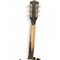 Used Alden STRATATONE Black Solid Body Electric Guitar