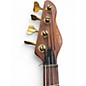 Used Peavey Dyna-Bass Unity Series Koa Koa Electric Bass Guitar