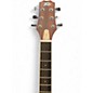 Used Peavey DW1 Natural Acoustic Guitar