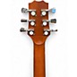 Used Peavey DW1 Natural Acoustic Guitar