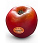 Used Remo Apple Shakers (Set of 10) Hand Percussion