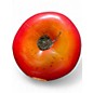 Used Remo Apple Shakers (Set of 10) Hand Percussion