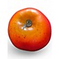 Used Remo Apple Shakers (Set of 10) Hand Percussion