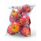 Used Remo Apple Shakers (Set of 10) Hand Percussion thumbnail