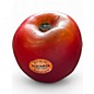 Used Remo Apple Shakers (Set of 10) Hand Percussion