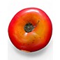 Used Remo Apple Shakers (Set of 10) Hand Percussion