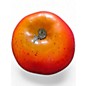 Used Remo Apple Shakers (Set of 10) Hand Percussion