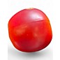 Used Remo Apple Shakers (Set of 10) Hand Percussion