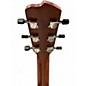 Used Breedlove Wildwood Concertina Satin ce Mahogany Acoustic Electric Guitar