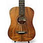 Used Taylor BT KOA KOA Acoustic Guitar