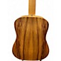 Used Taylor BT KOA KOA Acoustic Guitar