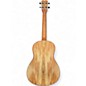 Used Cordoba 24B Natural Ukulele
