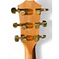 Used Taylor 224CEKDLX Sunburst Acoustic Electric Guitar
