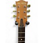 Used Big River WG (SG STYLE GUITAR) Custom Graphic Solid Body Electric Guitar