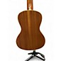 Used Cordoba 15CM Concert Mahogany Ukulele