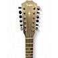 Used Taylor 362CE SHADED EDGE BURST 12 String Acoustic Electric Guitar