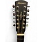 Used Alvarez AG610CE 12SHB Shadowburst 12 String Acoustic Electric Guitar