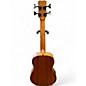 Used Cordoba Mini I bass Natural Acoustic Bass Guitar