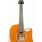 Used Traveler Guitar REDLANDS MINI 2 Color Sunburst Acoustic Guitar