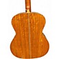 Used Washburn hg75seg Natural Acoustic Electric Guitar