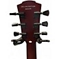 Used Fesley Deluxe Edition Black Solid Body Electric Guitar
