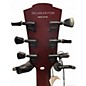 Used Fesley Deluxe Edition Black Solid Body Electric Guitar