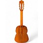 Used Cordoba Cadete Cedar Classical Acoustic Guitar