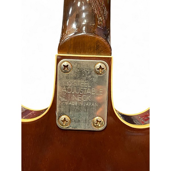 Used 1970s Epiphone EA255 Walnut Hollow Body Electric Guitar