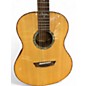 Used Washburn Bella Tono Elegante BTS24S-D Natural Acoustic Guitar