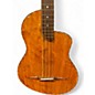 Used Rick Turner Guitars RENAISSANCE RB4 FRETLESS Vintage Natural Electric Bass Guitar