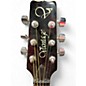 Used Vantage 670 Natural Hollow Body Electric Guitar