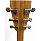 Used Martin Special GPC-X1E All-Koa HPL Natural Acoustic Guitar