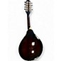 Used Ibanez M510E 2 Color Sunburst Mandolin