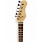 Used Michael Kelly CC50 CUSTOM COLLECTION Sunburst Solid Body Electric Guitar