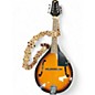 Used Rover RM25S 2 Color Sunburst Mandolin thumbnail