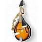 Used Rover RM25S 2 Color Sunburst Mandolin