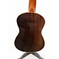 Used Mitchell MU70 Concert Natural Ukulele