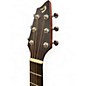 Used Breedlove Passport C250/CME Natural Acoustic Electric Guitar